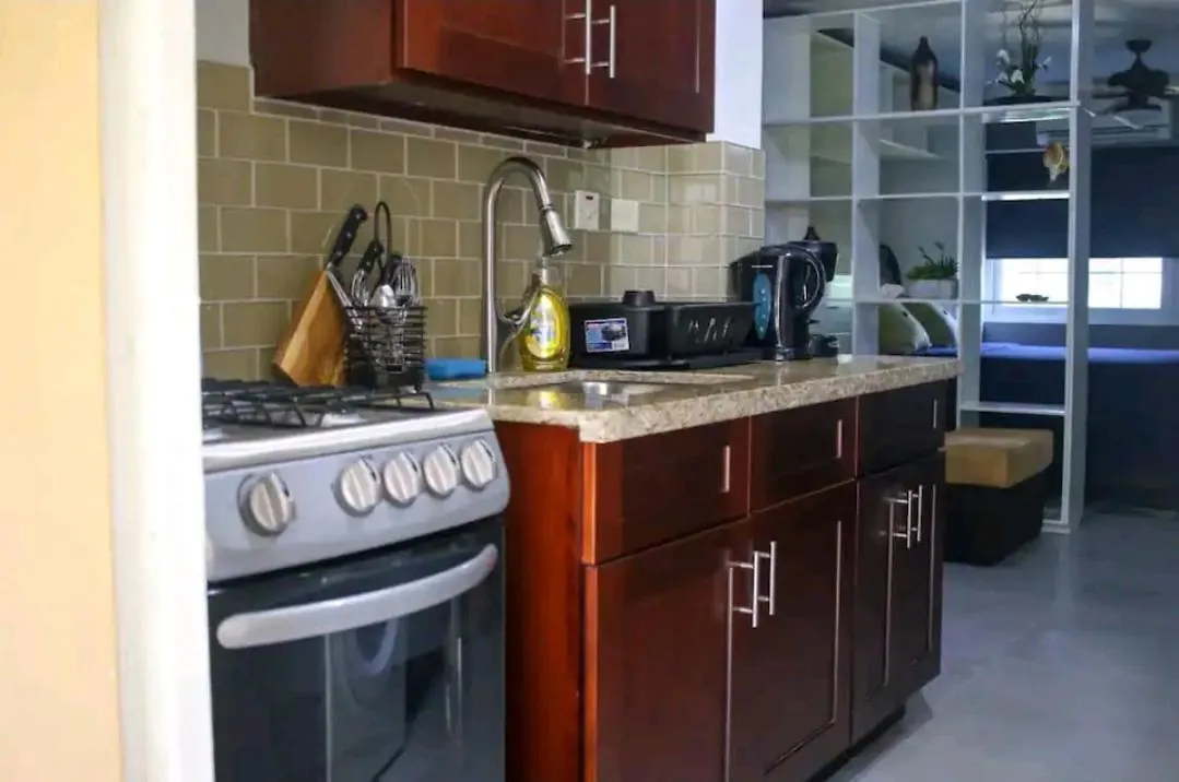 Carter'S Nest Apartment Kingston Jamaica