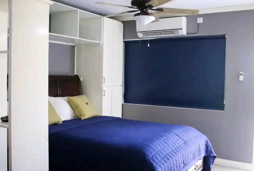Carter'S Nest Apartment Kingston 0*,
