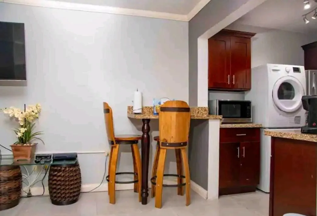 Carter'S Nest Apartment Kingston