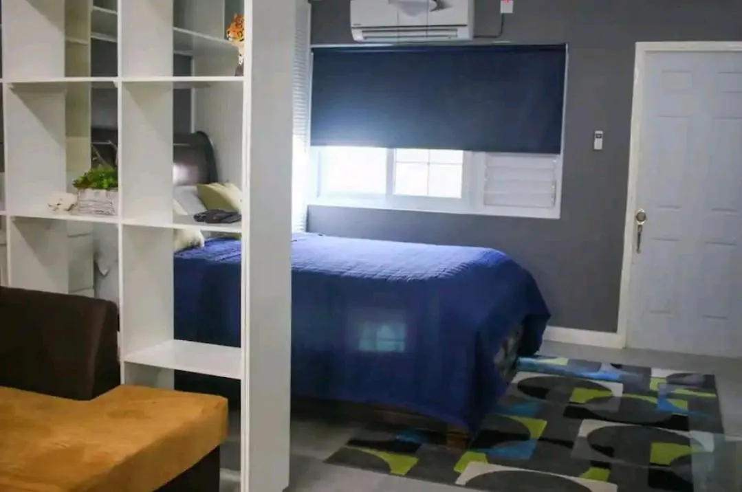 Carter'S Nest Apartment Kingston