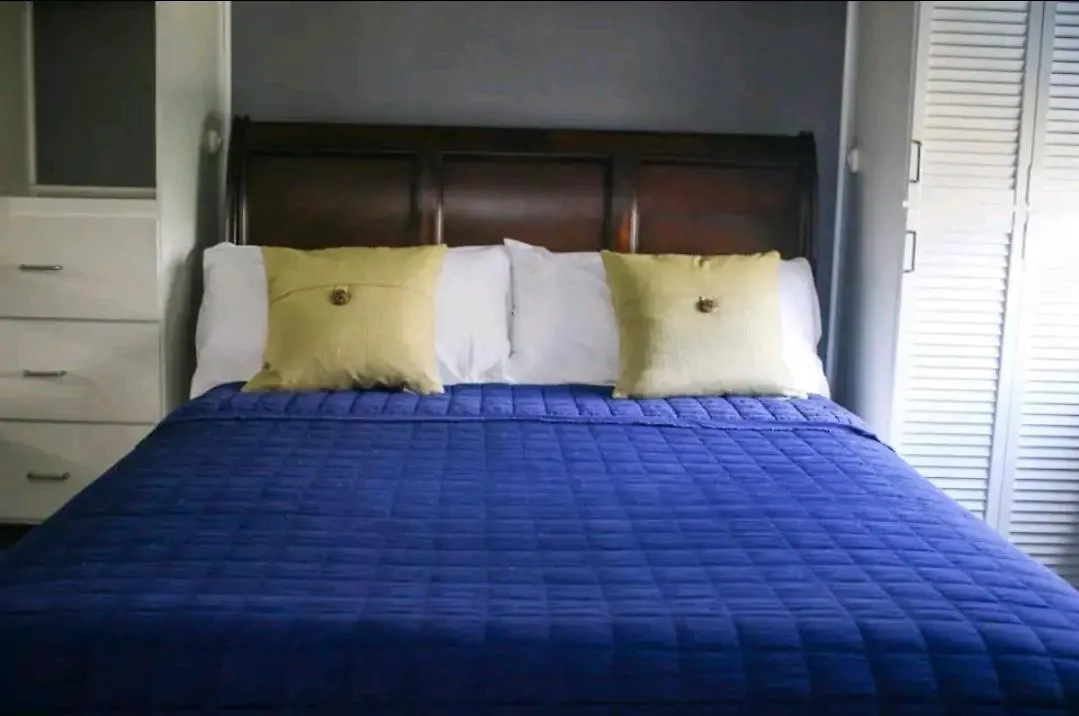 Carter'S Nest Apartment Kingston