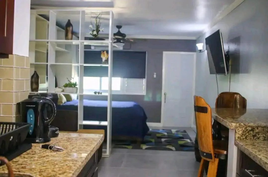 킹스톤 Carter'S Nest 아파트